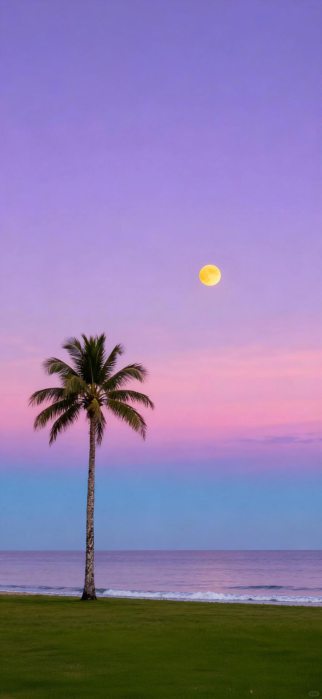 Tropical beach at twilight with full moon